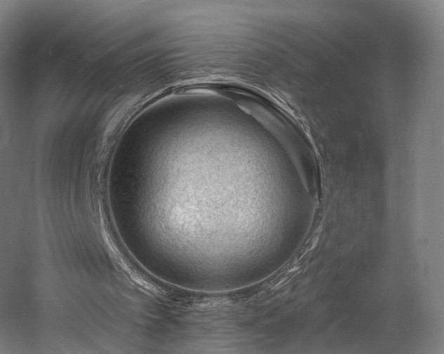 X0000060740097200511101118