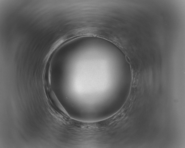 X0000060740099200511101118