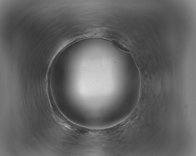 X0000060740100200511101118