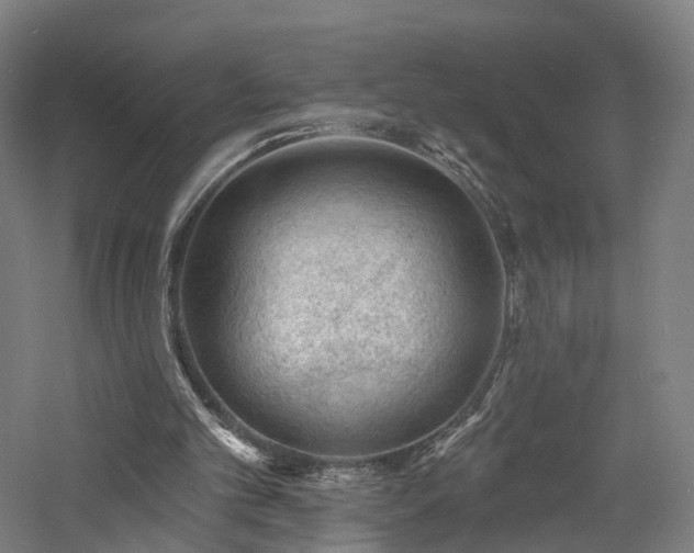 X0000060740101200511101118