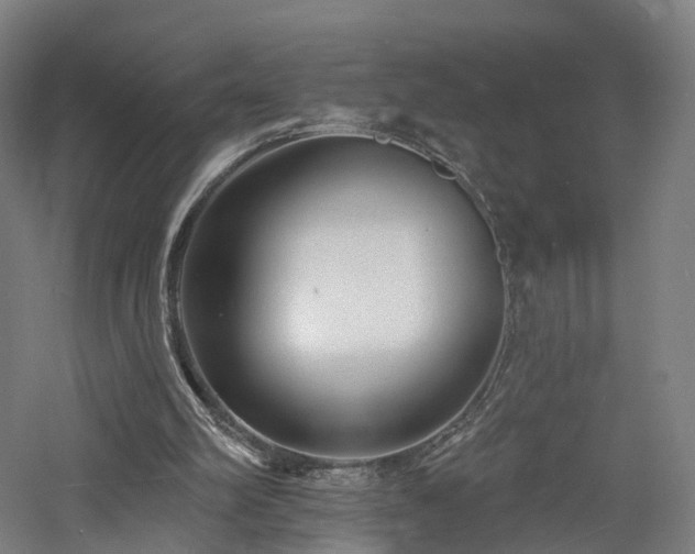 X0000060740102200511101118