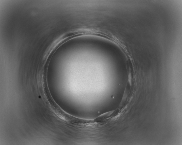 X0000060740103200511101118