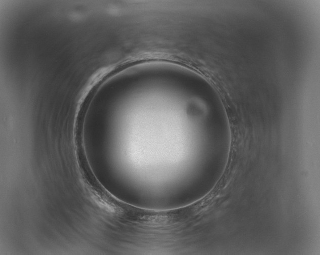 X0000060740104200511101118