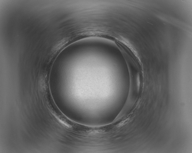 X0000060740105200511101118