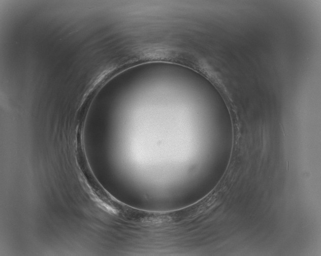 X0000060740106200511101118