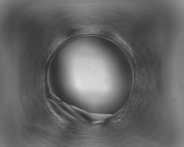 X0000060740107200511101118