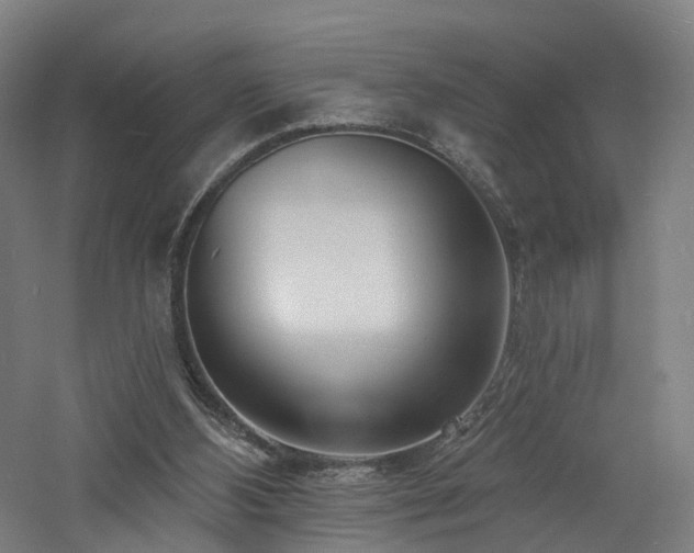 X0000060740108200511101118