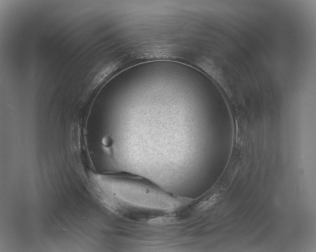 X0000060740109200511101118