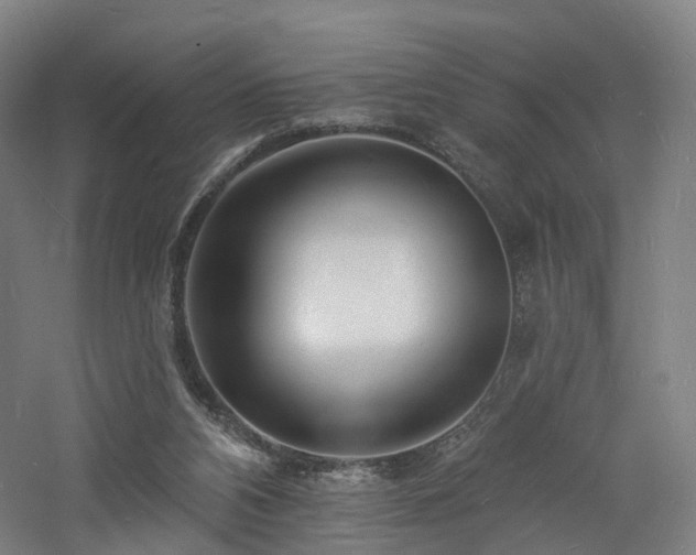 X0000060740112200511101118