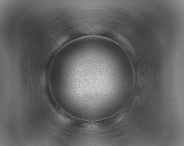 X0000060740113200511101118