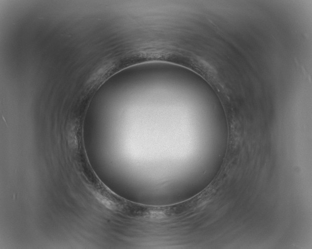 X0000060740114200511101118