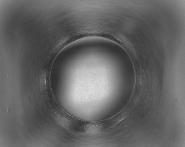 X0000060740115200511101118