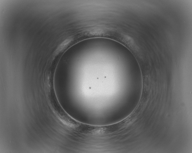 X0000060740116200511101118