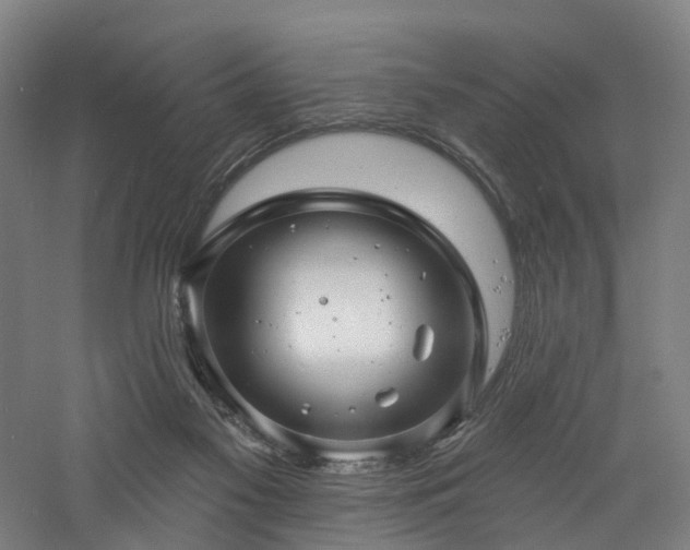 X0000060740117200511101118