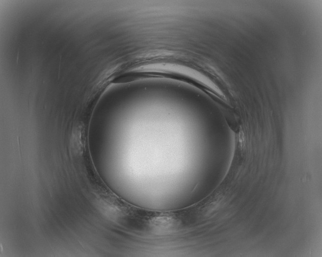 X0000060740119200511101118