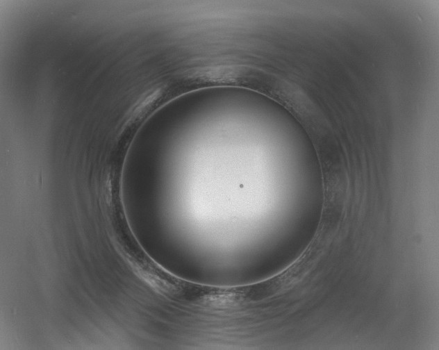 X0000060740120200511101118