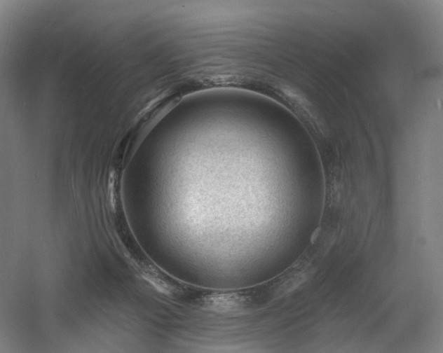 X0000060740121200511101118