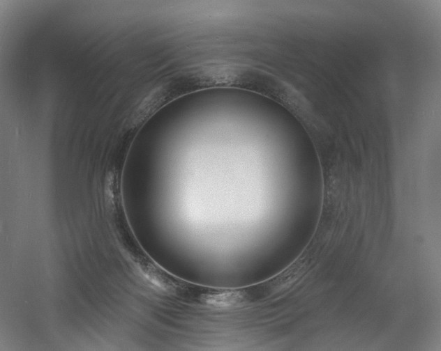 X0000060740122200511101118