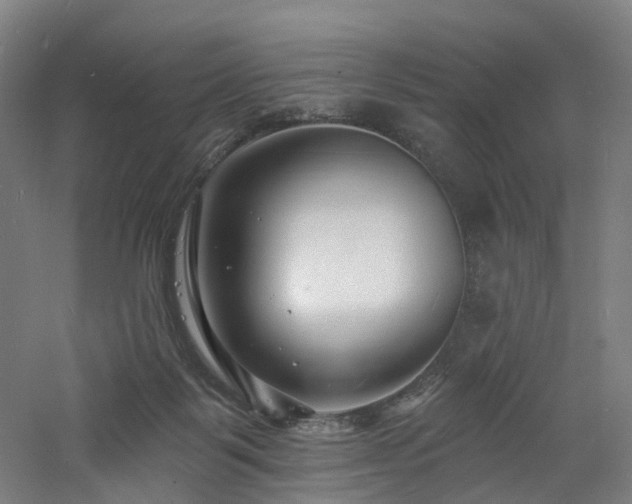 X0000060740123200511101118