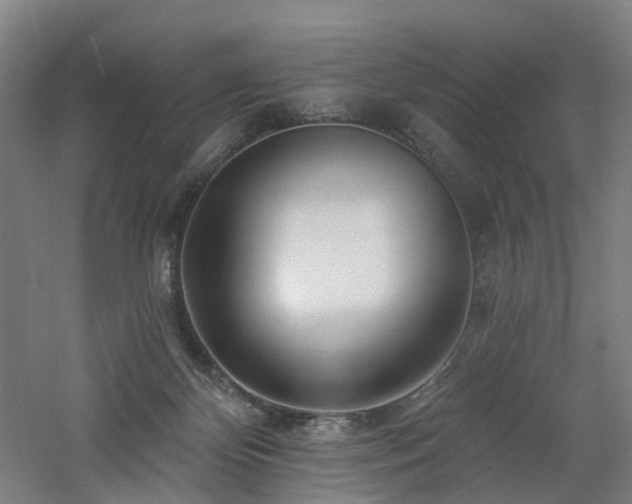 X0000060740124200511101118