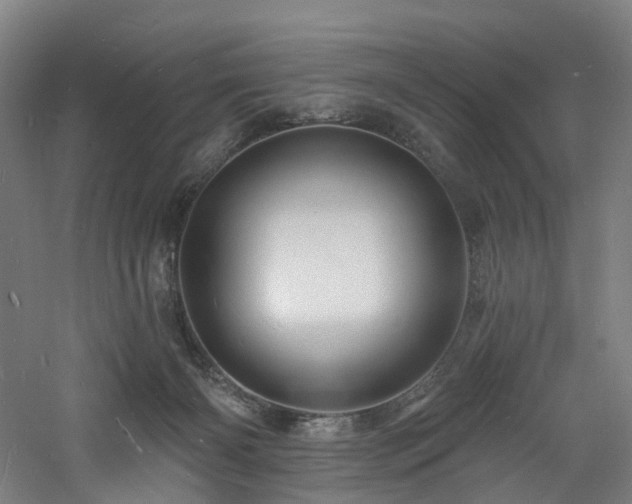 X0000060740126200511101118