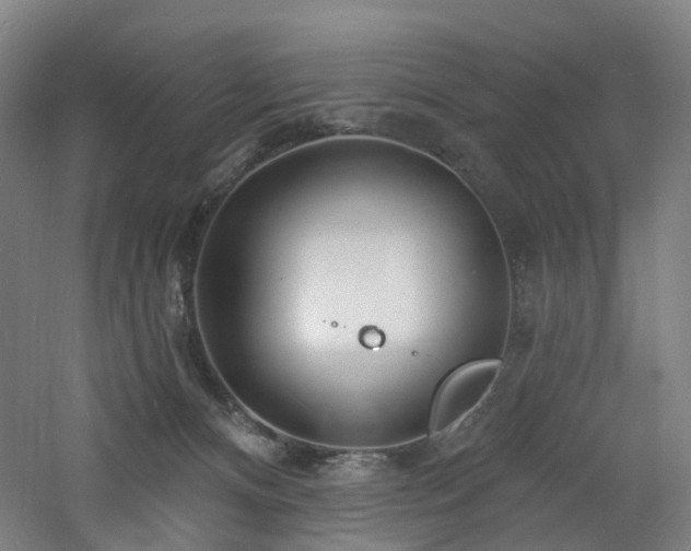 X0000060740128200511101118