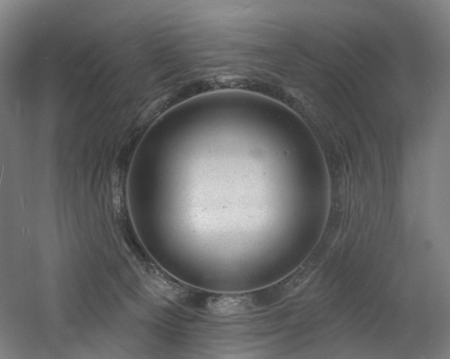 X0000060740129200511101118