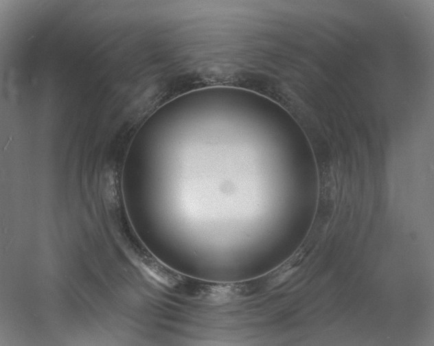 X0000060740130200511101118