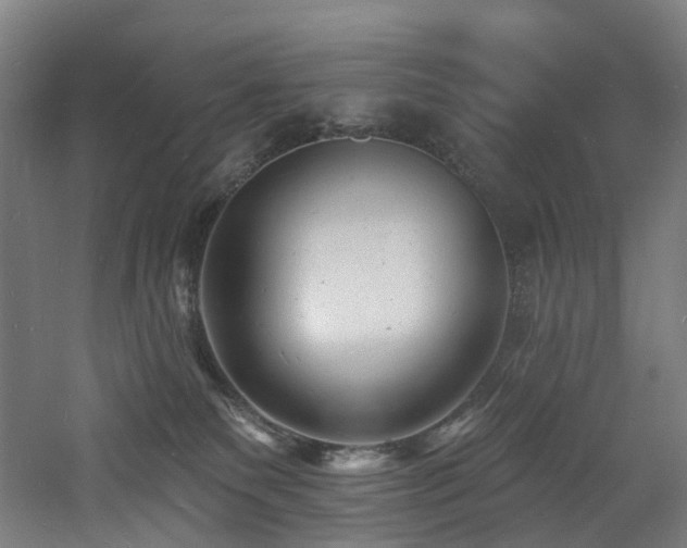 X0000060740135200511101118