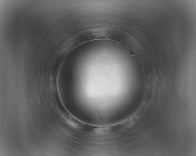 X0000060740136200511101118