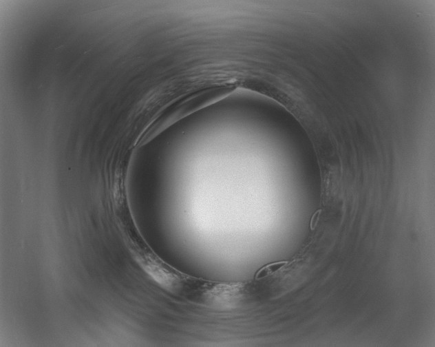 X0000060740138200511101118