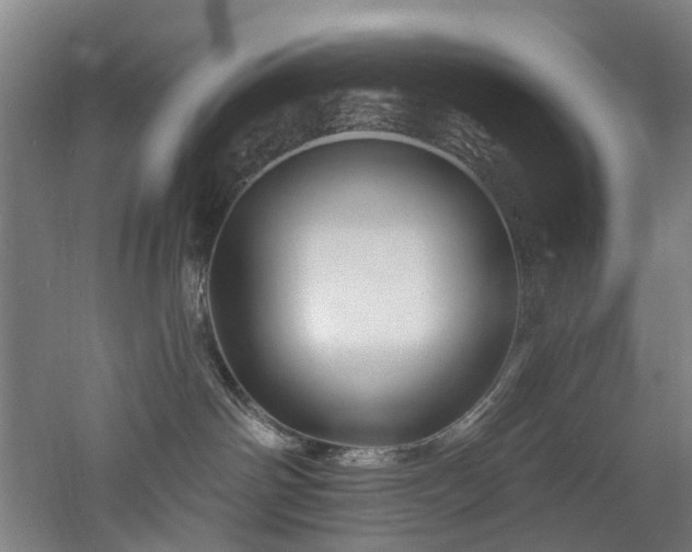 X0000060740142200511101118