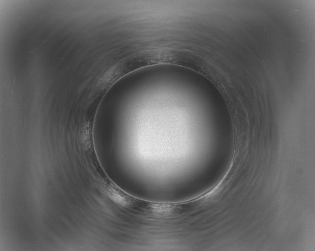 X0000060740144200511101118