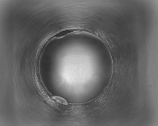 X0000060740145200511101117