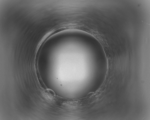 X0000060740147200511101117