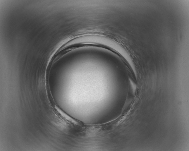 X0000060740148200511101117