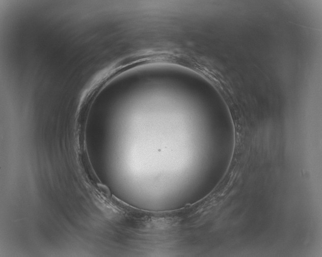 X0000060740149200511101117