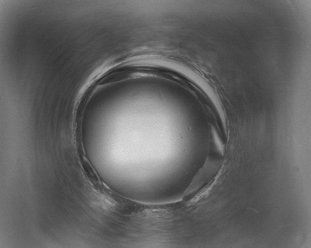 X0000060740150200511101117