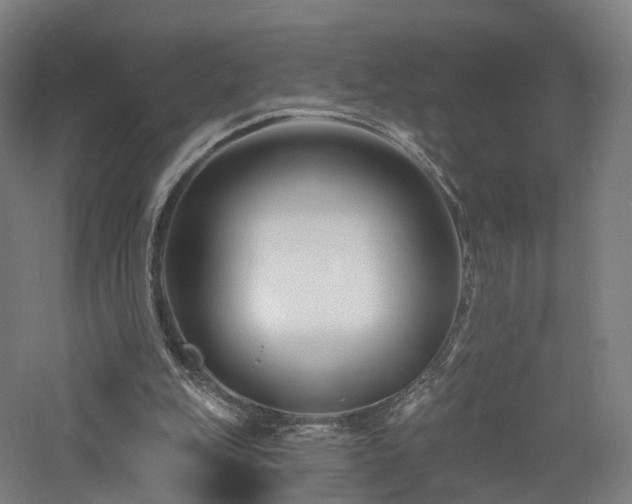 X0000060740151200511101117