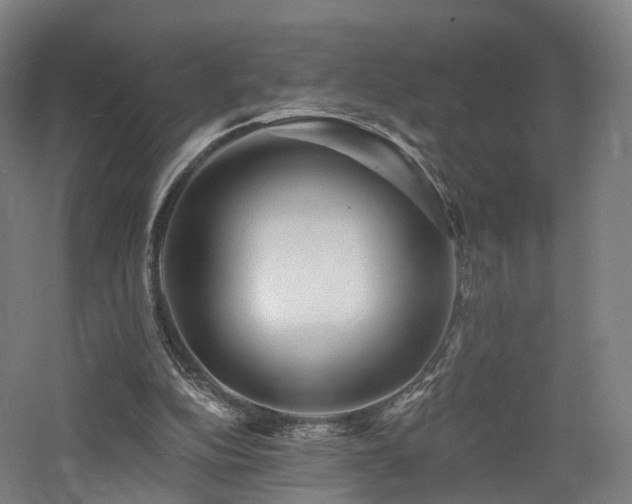 X0000060740152200511101117