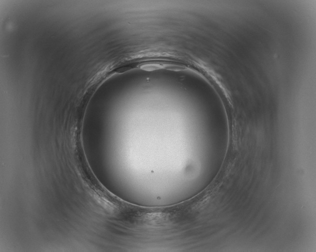 X0000060740153200511101117