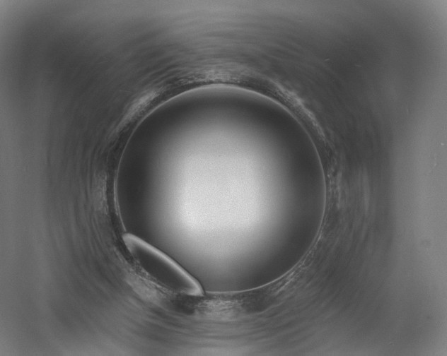 X0000060740154200511101117