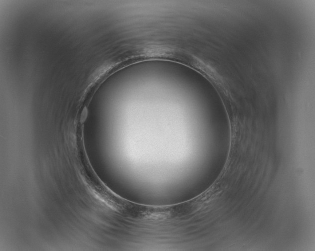 X0000060740155200511101117