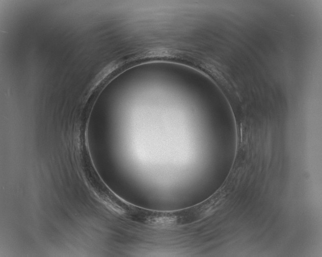 X0000060740156200511101117