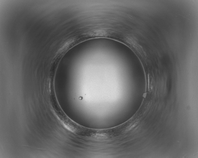 X0000060740157200511101117