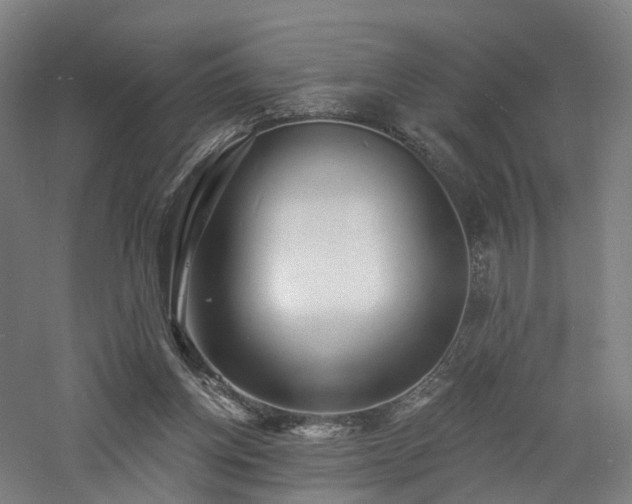 X0000060740158200511101117