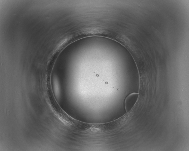 X0000060740159200511101117