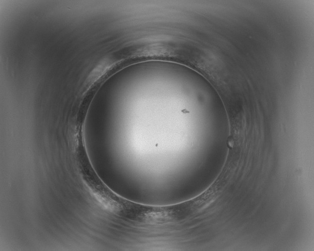 X0000060740160200511101117