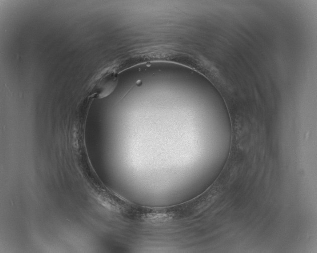 X0000060740161200511101117