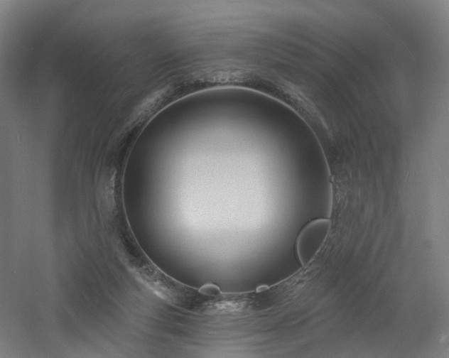 X0000060740163200511101117